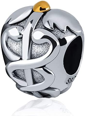 Pandora charms for shop doctors