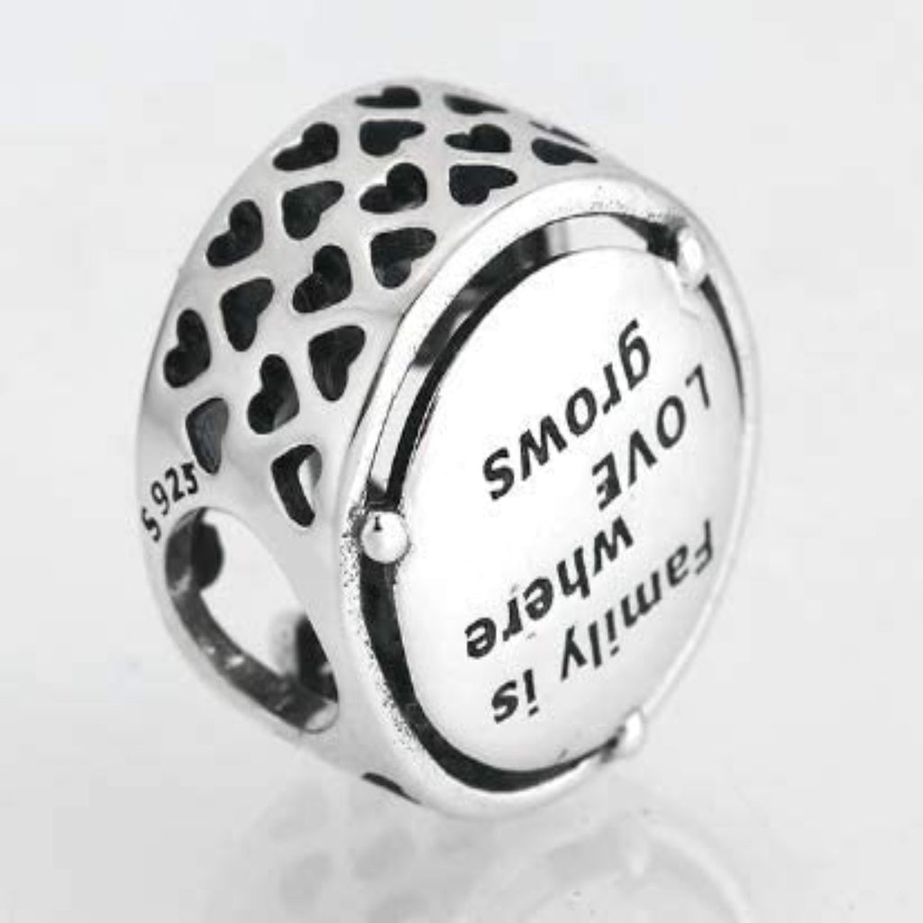 Family Tree Quote Sterling Silver Bead Charm - Bolenvi Pandora Disney Chamilia Cartier Tiffany Charm Bead Bracelet Jewelry 