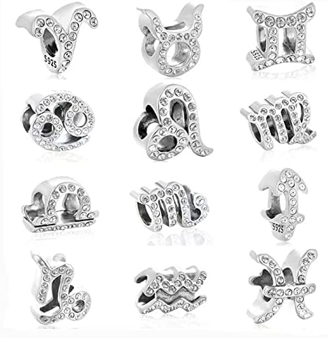 Aquarius Zodiac Sterling Silver Bead Charm - Bolenvi Pandora Disney Chamilia Cartier Tiffany Charm Bead Bracelet Jewelry 